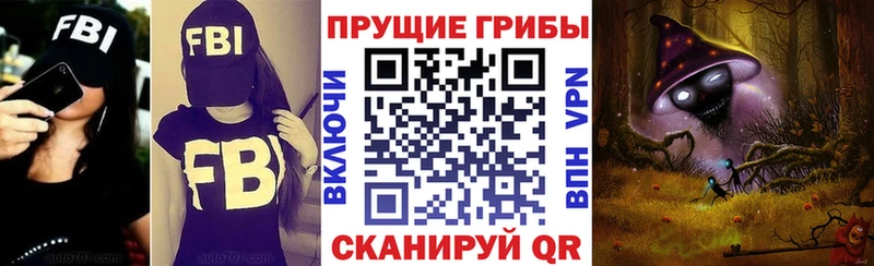 продажа наркотиков  Чудово  Псилоцибиновые грибы мицелий 
