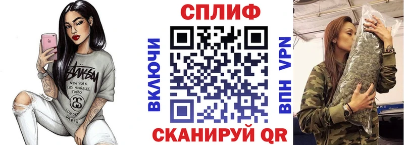 Канабис сатива купить наркотики цена Чудово